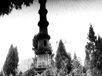 该塔已有一百多年历史